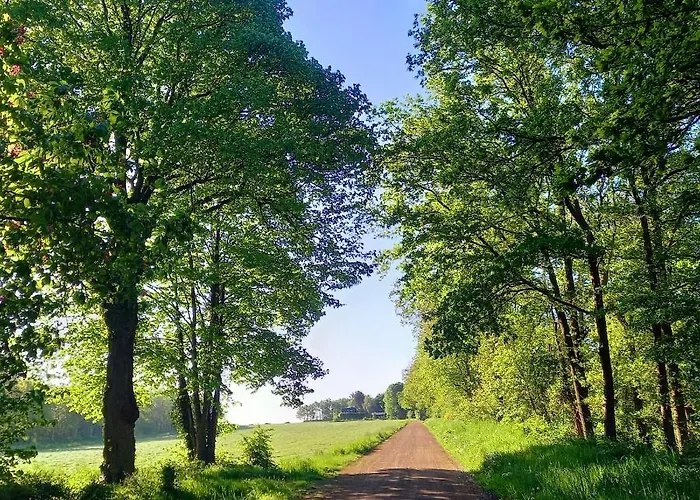 Natuurhuisje Wolterholten
