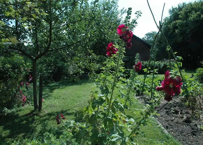 Gastenverblijf Op Het Graveland